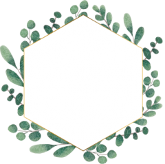 eucalyptus_wreath01.png