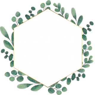 eucalyptus_wreath01.png